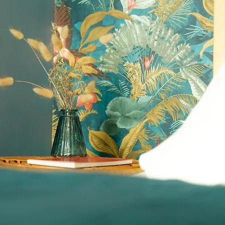 Le Saint Roch-centre-free Parking-clim Montpellier