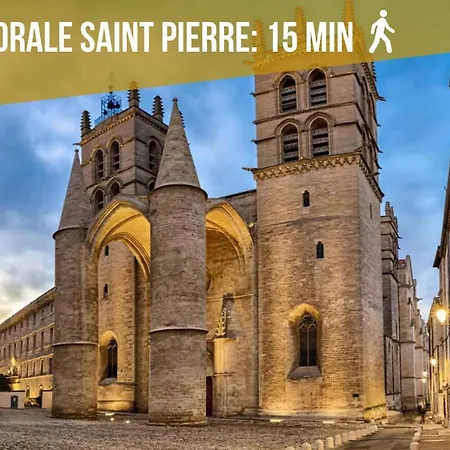 Le Saint Roch-centre-free Parking-clim * Montpellier