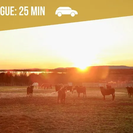 Apartman Le Saint Roch-centre-free Parking-clim