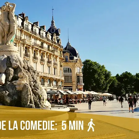 Apartament Le Saint Roch-centre-free Parking-clim *