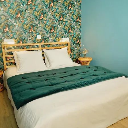 Le Saint Roch-centre-free Parking-clim Montpellier