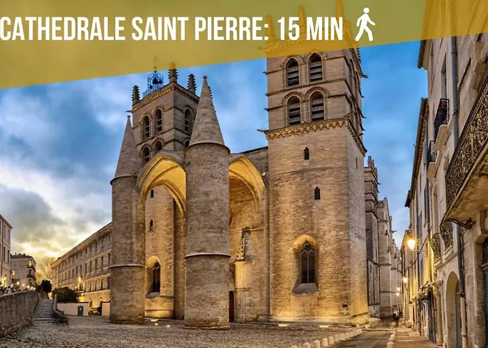 Le Saint Roch-centre-free Parking-clim * Montpellier
