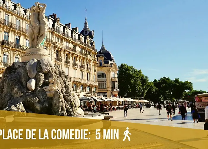 Apartamento Le Saint Roch-centre-free Parking-clim *